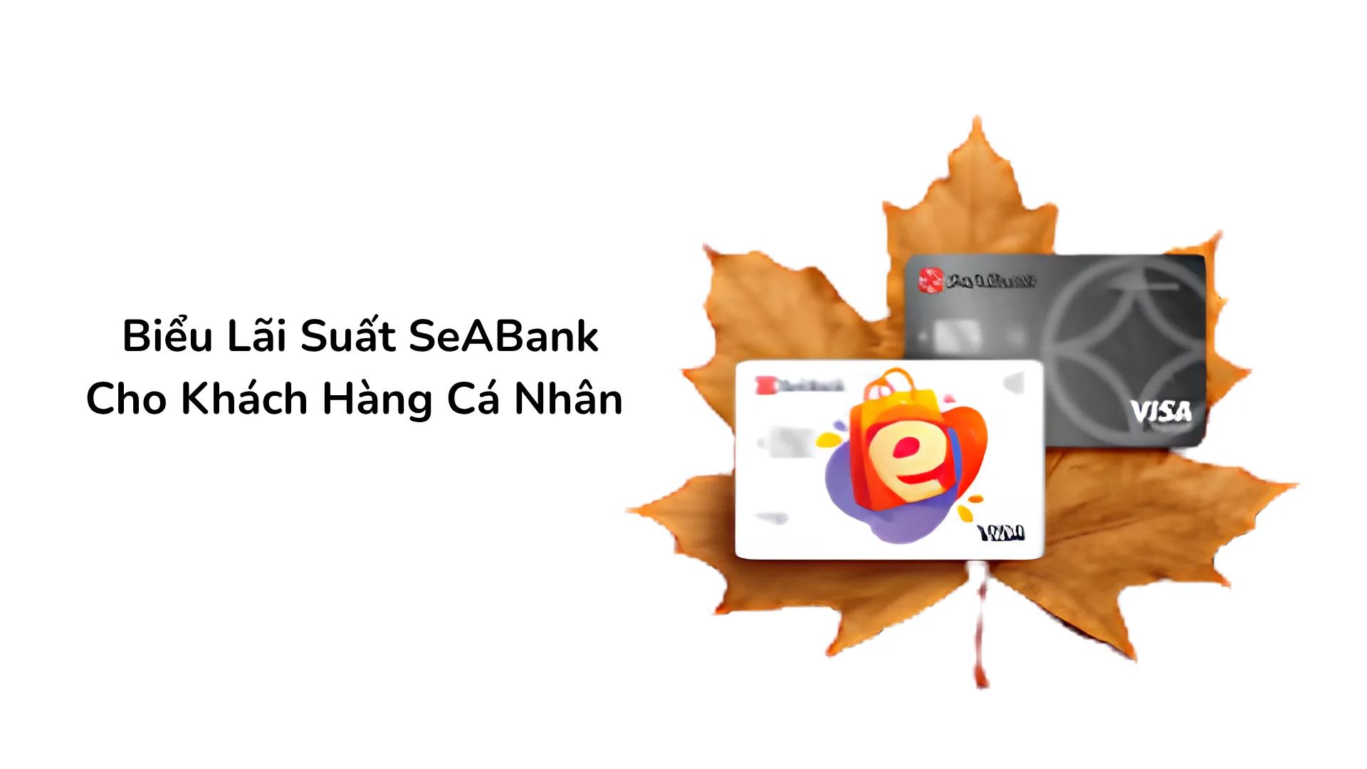 Biểu lãi suất thẻ tín dụng SeABank cho khách hàng cá nhân.
