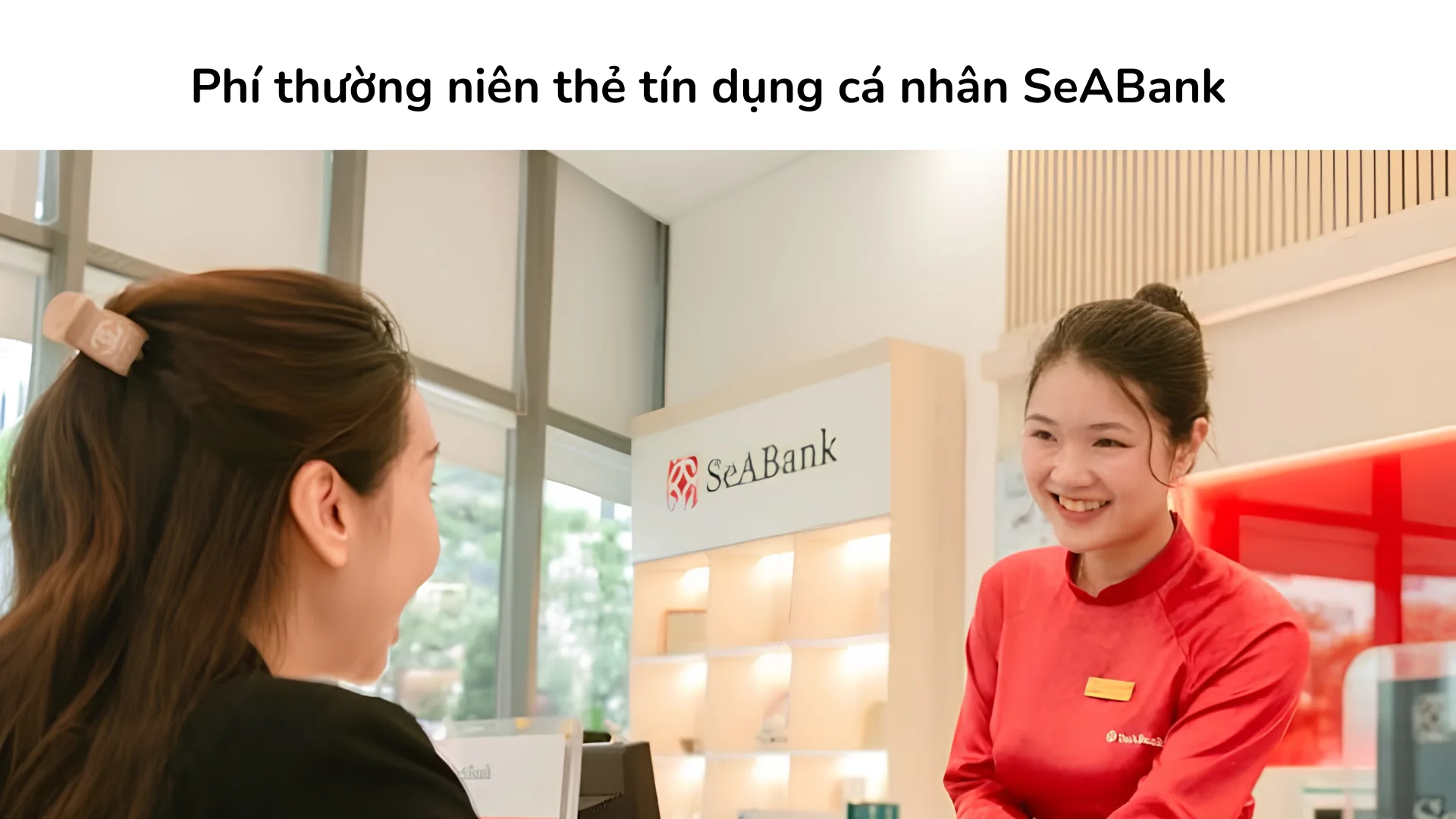Biểu phí thường niên các dòng thẻ tín dụng cá nhân tại SeABank.