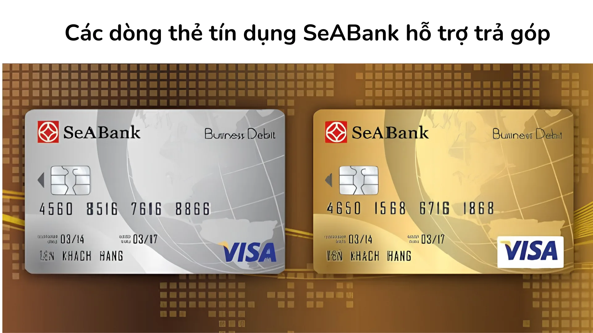 Các dòng thẻ tín dụng SeABank hỗ trợ trả góp như SeA-Easy, SeALady, Visa Platinum và BRG Elite.