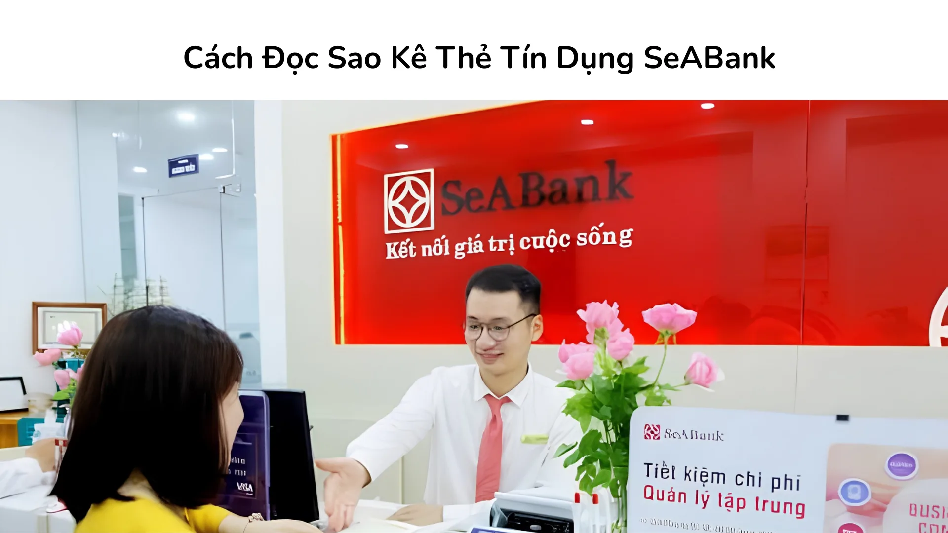 Hướng dẫn đọc sao kê thẻ tín dụng SeABank.