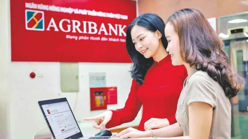 Quy trình vay kinh doanh Agribank