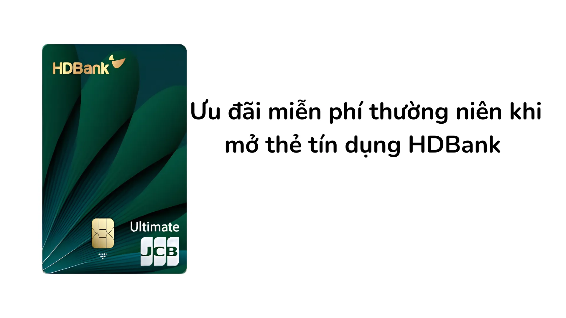 Ưu đãi miễn phí thường niên khi mở thẻ tín dụng HDBank Vietjet Platinum.