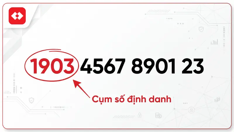 Dãy mười bốn chữ số thường bắt đầu bằng các đầu số phổ biến như 1903, 196, giúp người dùng xác định chính xác chi nhánh đăng ký ban đầu.