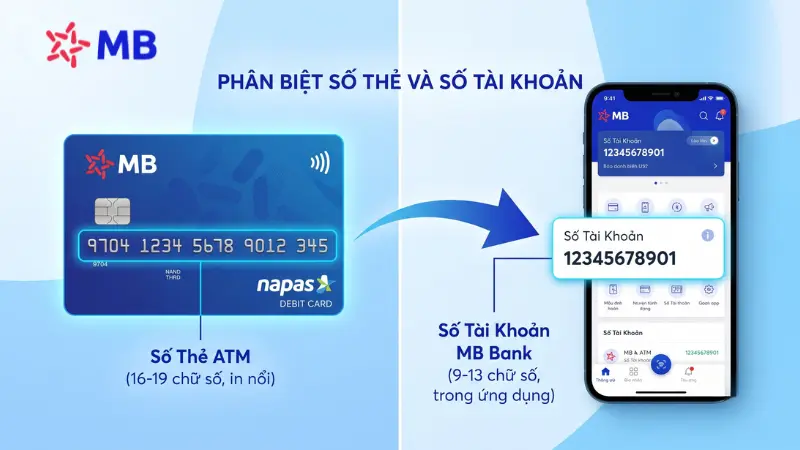 Phân biệt số tài khoản và số thẻ ATM MB Bank.
