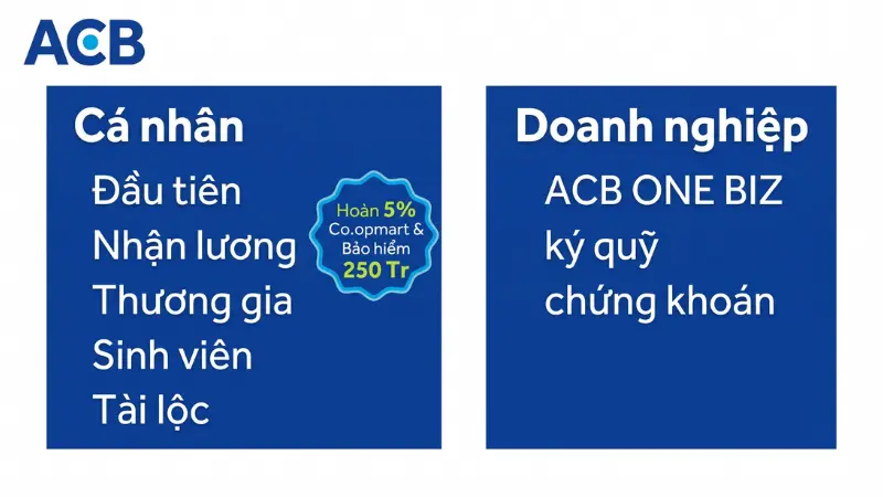 Phân loại tài khoản thanh toán ACB cho cá nhân và ACB ONE BIZ cho doanh nghiệp